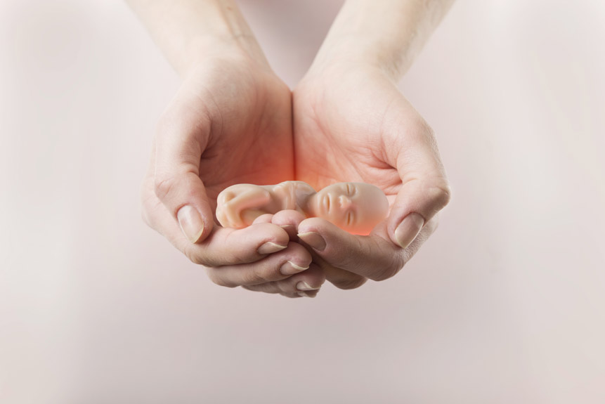 Embryo in Woman's Hand - Abortion Informed Choice