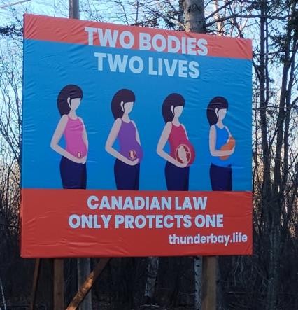 Right to Life Newsletter Fall and Winter 2025 Image[2]